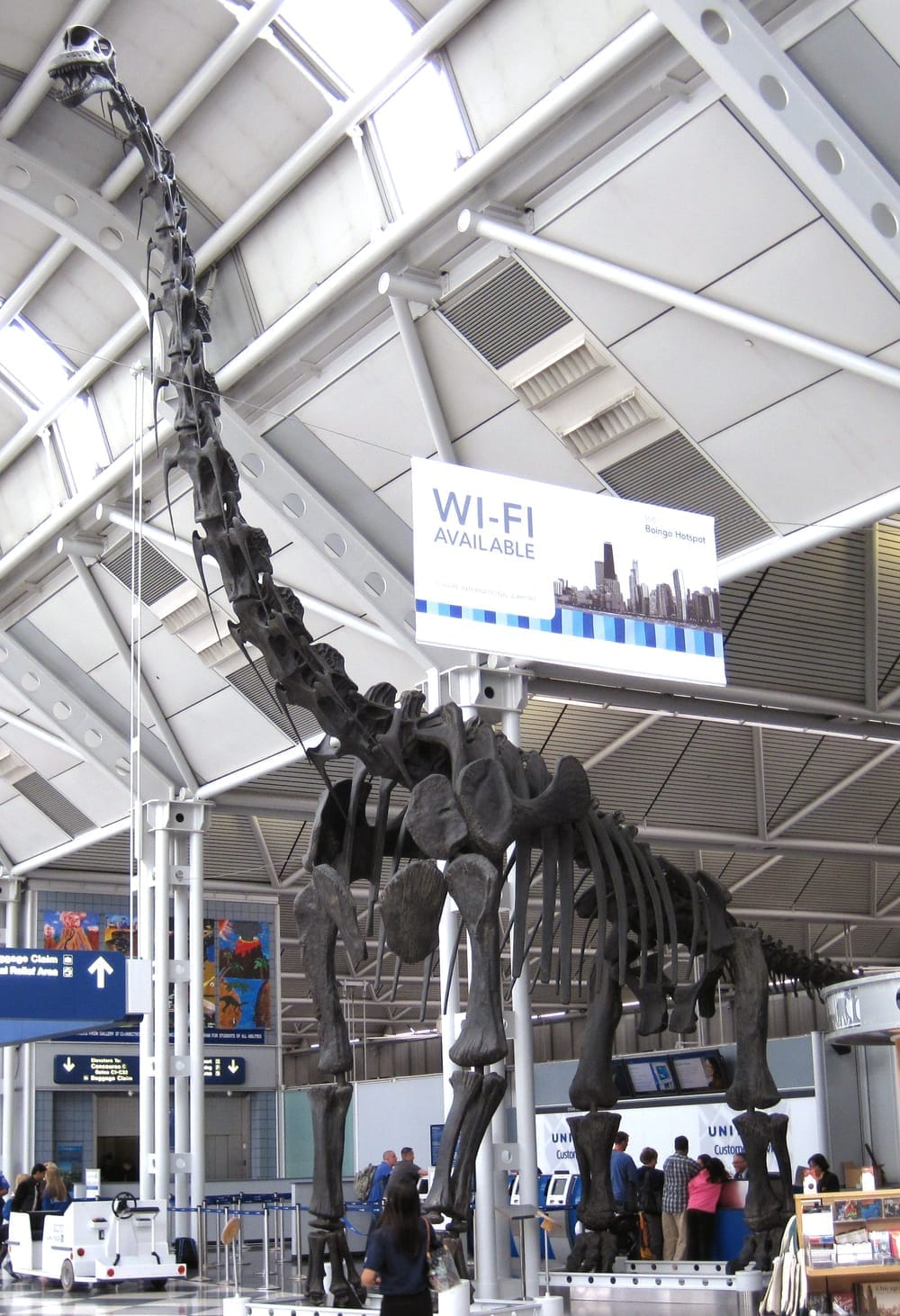 ブラキオサウルス 骨格（Field Museum）
